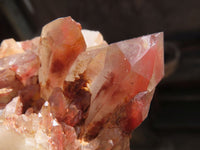 Natural Red Hematoid Quartz Specimens x 2 From Karoi, Zimbabwe