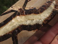 Polished Septarian (Calcite & Aragonite) Points x 2 From Madagascar - TopRock