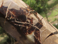 Polished Septarian (Calcite & Aragonite) Points x 2 From Madagascar - TopRock