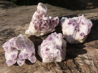 Natural Sugar Amethyst Clusters  x 4 From Solwezi, Zambia - Toprock Gemstones and Minerals 