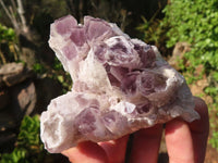 Natural Sugar Amethyst Clusters  x 4 From Solwezi, Zambia - Toprock Gemstones and Minerals 