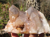 Natural Red Hematoid Quartz Specimens x 2 From Karoi, Zimbabwe