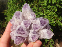 Natural Sugar Amethyst Clusters  x 4 From Solwezi, Zambia - Toprock Gemstones and Minerals 