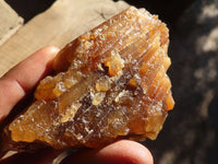 Natural Honey Aragonite Etched & Cobbed Pieces  x 6 From Namibia