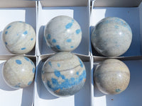 Polished Blue Spotted Spinel Spheres x 6 From Madagascar - TopRock