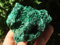 Natural Chatoyant Silky Malachite Specimens  x 12 From Kasompe, Congo - TopRock