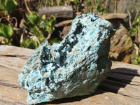 Natural Drusy Chrysocolla Specimen x 1 From Congo