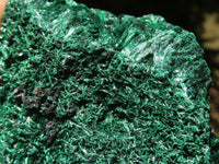 Natural Chatoyant Silky Malachite Specimens  x 12 From Kasompe, Congo - TopRock