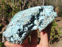 Natural Drusy Chrysocolla Specimen x 1 From Congo