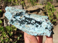 Natural Drusy Chrysocolla Specimen x 1 From Congo