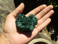 Natural Chatoyant Silky Malachite Specimens  x 12 From Kasompe, Congo - TopRock