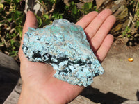 Natural Drusy Chrysocolla Specimen x 1 From Congo