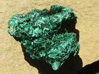 Natural Chatoyant Silky Malachite Specimens  x 12 From Kasompe, Congo - TopRock