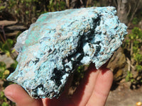 Natural Drusy Chrysocolla Specimen x 1 From Congo