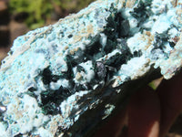 Natural Drusy Chrysocolla Specimen x 1 From Congo