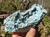 Natural Drusy Chrysocolla Specimen x 1 From Congo