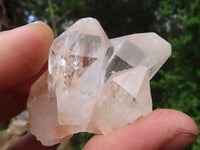 Natural Single Clear Rainbow Quartz Crystals  x 35 From Mpika, Zambia - Toprock Gemstones and Minerals 