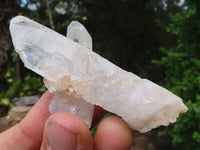 Natural Single Clear Rainbow Quartz Crystals  x 35 From Mpika, Zambia - Toprock Gemstones and Minerals 