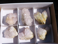 Natural White Cactus Flower Spirit Quartz Specimens x 6 From Boekenhouthoek, South Africa