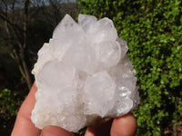 Natural White Cactus Flower Spirit Quartz Specimens x 6 From Boekenhouthoek, South Africa