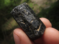 Natural Rough Black Tourmaline Schorl Specimens  x 1.9 Kg Lot From Zambia - TopRock