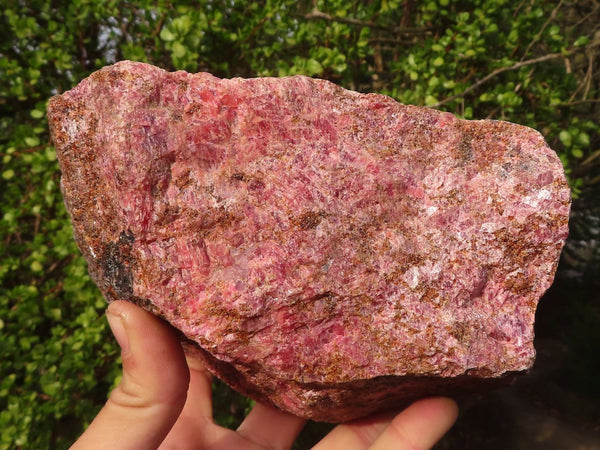 Natural Extra Large Rough Rhodonite Specimen  x 1 From Zimbabwe