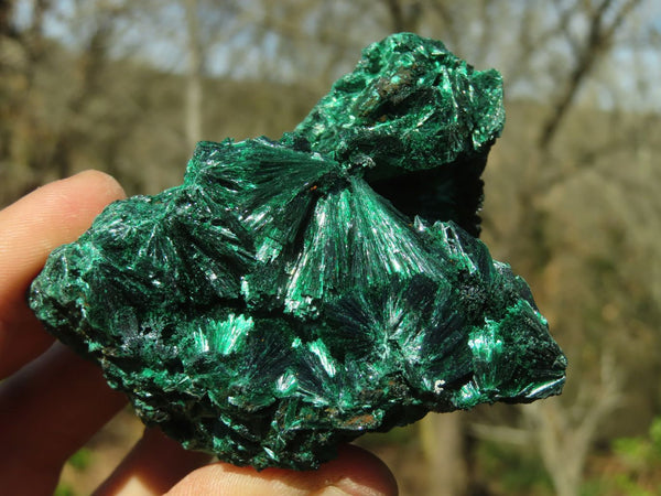 Natural Chatoyant Silky Malachite Specimens  x 3 From Kasompe, Congo