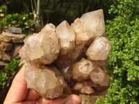 Natural Cascading Clear & White Phantom Smokey Quartz Specimens  x 3 From Luena, Congo - Toprock Gemstones and Minerals 