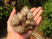 Natural Cascading Clear & White Phantom Smokey Quartz Specimens  x 3 From Luena, Congo - Toprock Gemstones and Minerals 