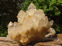 Natural Cascading Clear & White Phantom Smokey Quartz Specimens  x 3 From Luena, Congo - Toprock Gemstones and Minerals 