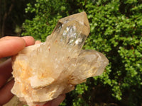 Natural Cascading Clear & White Phantom Smokey Quartz Specimens  x 3 From Luena, Congo - Toprock Gemstones and Minerals 