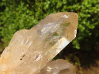 Natural Cascading Clear & White Phantom Smokey Quartz Specimens  x 3 From Luena, Congo - Toprock Gemstones and Minerals 