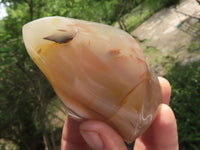 Polished Banded Agate Flame Sculptures  x 6 From Madagascar - TopRock