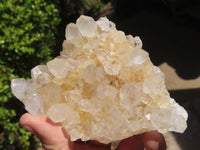 Natural Golden Limonite Quartz Clusters x 4 From Zambia