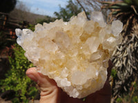 Natural Golden Limonite Quartz Clusters x 4 From Zambia