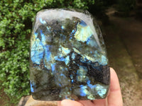 Polished Labradorite Standing Free Forms With Blue & Gold Flash  x 3 From Tulear, Madagascar - TopRock