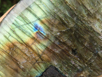 Polished Labradorite Standing Free Forms With Blue & Gold Flash  x 3 From Tulear, Madagascar - TopRock