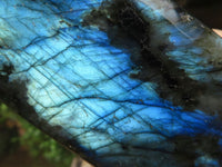 Polished Labradorite Standing Free Forms With Blue & Gold Flash  x 3 From Tulear, Madagascar - TopRock