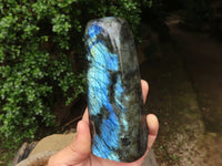 Polished Labradorite Standing Free Forms With Blue & Gold Flash  x 3 From Tulear, Madagascar - TopRock