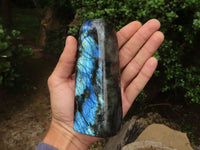 Polished Labradorite Standing Free Forms With Blue & Gold Flash  x 3 From Tulear, Madagascar - TopRock