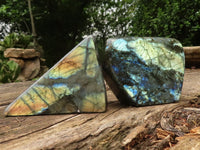 Polished Labradorite Standing Free Forms With Intense Blue & Gold Flash x 2 From Tulear, Madagascar - TopRock