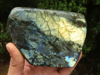 Polished Labradorite Standing Free Forms With Intense Blue & Gold Flash x 2 From Tulear, Madagascar - TopRock