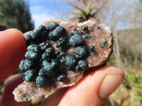 Natural Rare Ball Malachite On Drusy Quartz & Dolomite Specimens x 6 From Congo