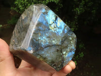 Polished Labradorite Standing Free Forms With Intense Blue & Gold Flash x 2 From Tulear, Madagascar - TopRock