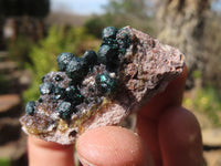 Natural Rare Ball Malachite On Drusy Quartz & Dolomite Specimens x 6 From Congo