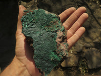 Natural Small to Large Crystalline Botryoidal Malachite on Matrix Specimens  x 11 From Congo - TopRock