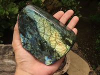 Polished Labradorite Standing Free Forms With Intense Blue & Gold Flash x 2 From Tulear, Madagascar - TopRock