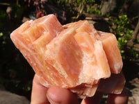 Natural New Sunset Orange Calcite Specimens  x 12 From Spitzkop, Namibia