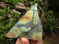 Polished Labradorite Standing Free Forms With Intense Blue & Gold Flash x 2 From Tulear, Madagascar - TopRock