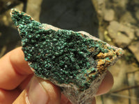 Natural Small to Large Crystalline Botryoidal Malachite on Matrix Specimens  x 11 From Congo - TopRock